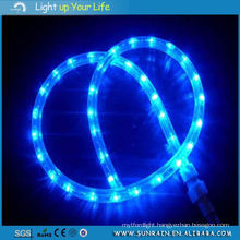 LED Rope Light for Christmas